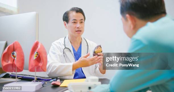 male doctor show lung model - emphysema stock pictures, royalty-free photos & images