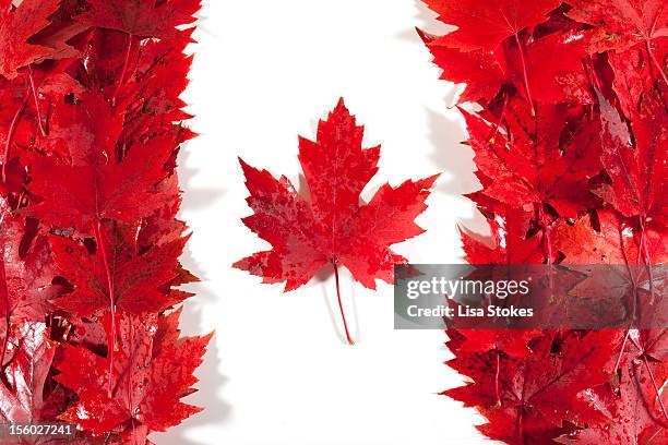 oh canada - canada flag stock pictures, royalty-free photos & images