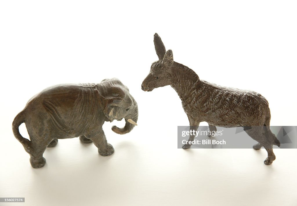 Miniature donkey confronts elephant