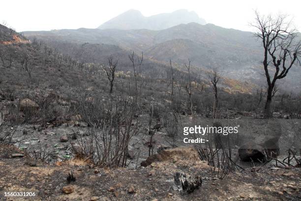 General view shows the aftermath of a forest fire in Bejaia, 250 kilometres from Algiers, on July 28, 2023. Algerians in the fire-ravaged northeast...