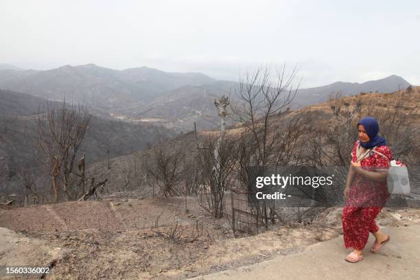 Woman walks past the burnt trees in the aftermath of a forest fire in Bejaia, 250 kilometres from Algiers, on July 28, 2023. Algerians in the...