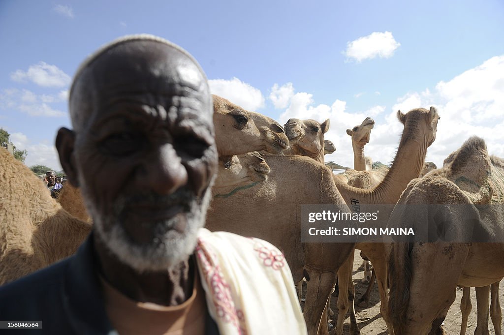 SOMALIA-SOMALILAND-ECONOMY-BREEDING
