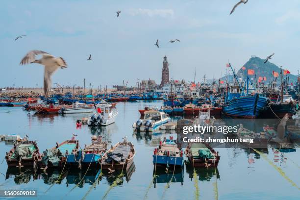 dalian fisherman's wharf city view - china hot location stock pictures, royalty-free photos & images