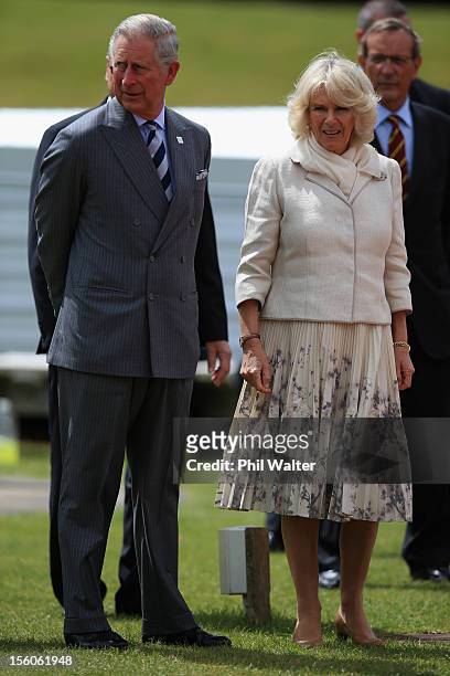 Prince Charles, Prince of Wales and Camilla, Duchess of Cornwall greet public outside the Millenium Sports Institute on November 12, 2012 in...