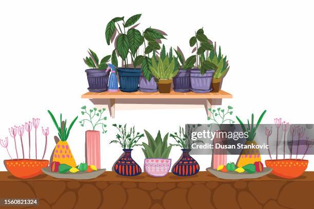 mediterranean composition - aloe vera stock illustrations