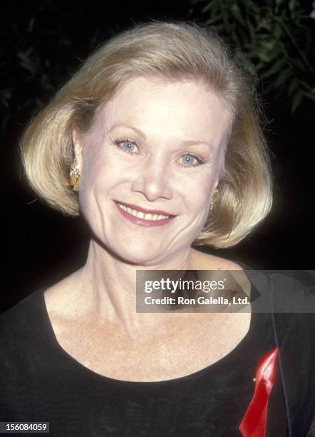 Besch Photos and Premium High Res Pictures Getty Images Besch Photos and Premium High Res Pictures Getty Images