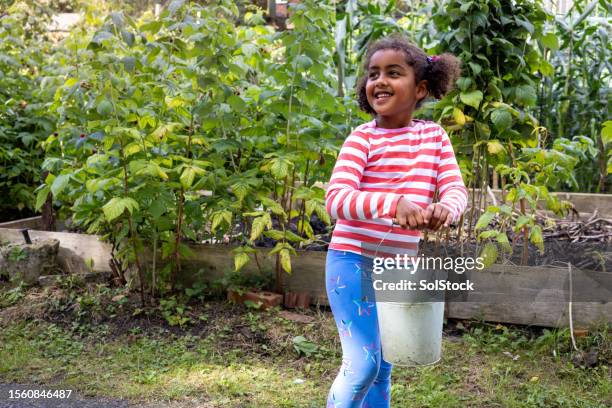 helping in the garden - balde imagens e fotografias de stock