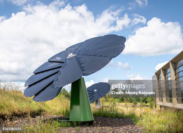 Solar Sunflowe Sunflower Shaped Photos and Premium High Res Pictures - Getty Images