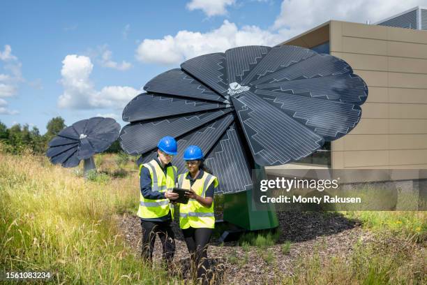 Solar Sunflowe 68 Sunflower Shaped Stock Photos, High-Res Pictures, and Images - Getty ...