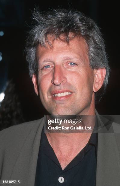 Joe Roth Interview 27 Unstrung Heroes Photos & High Res Pictures - Getty Images
