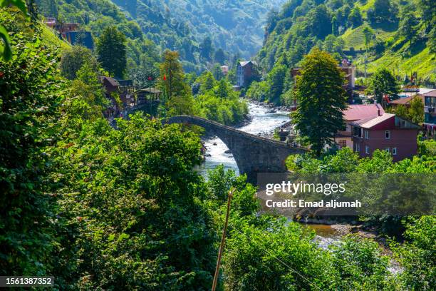 kadikoy (özenkit) bridge, rize, turkey - trabzon stock pictures, royalty-free photos & images