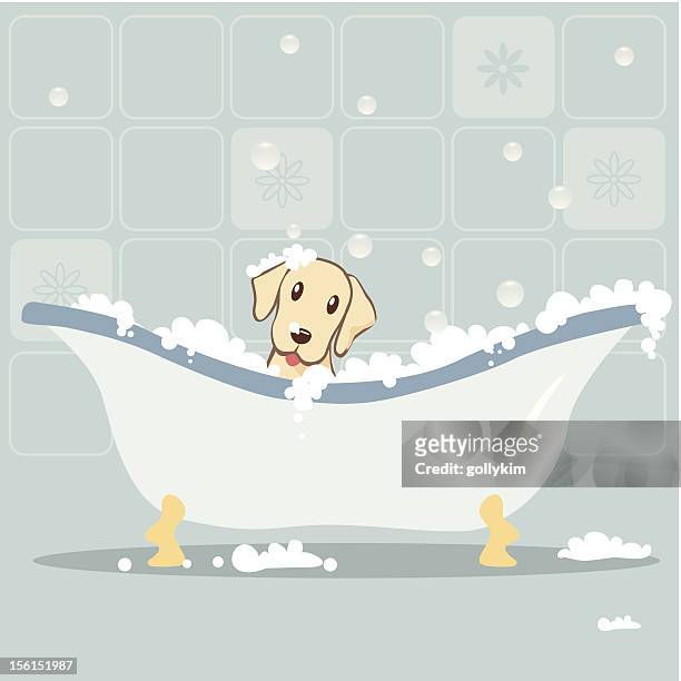 illustrations, cliparts, dessins animés et icônes de chien prenant bain moussant - carrelage salle de bain