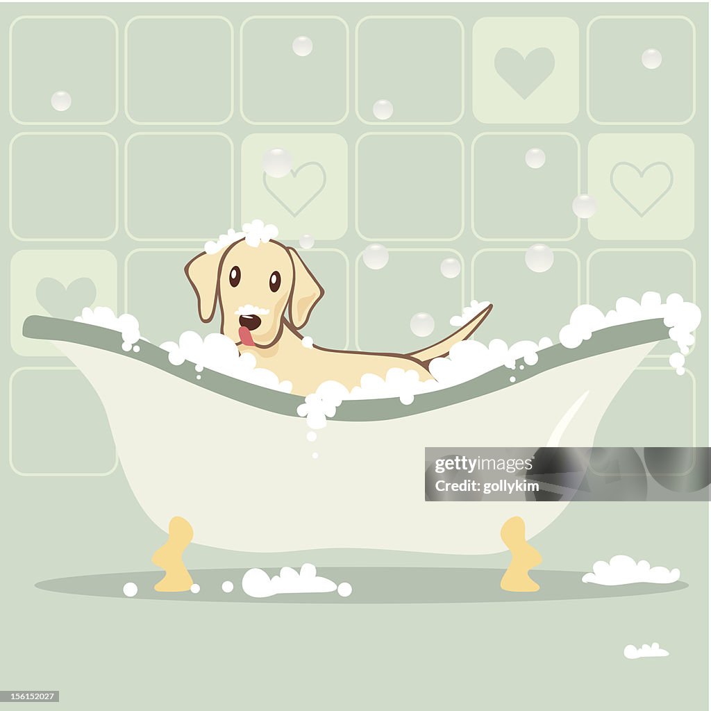 Cane prendendo un bagno di bolle