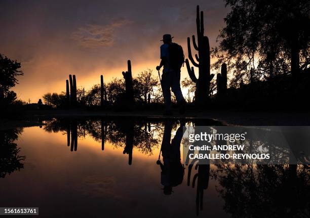 Man's silhouette is reflected in a pool of water from a passing storm as he walks along a trail past Saguaro cacti in Tucson, Arizona, July 28, 2023.