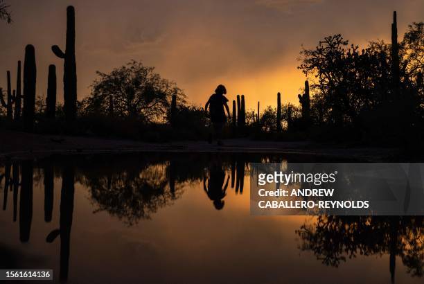 Boy's silhouette is reflected in a pool of water from a passing storm as he walks along a trail past Saguaro cacti in Tucson, Arizona, July 28, 2023.