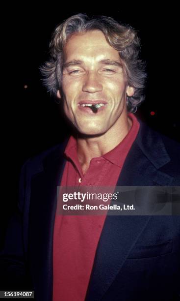 Arnold Schwarzenegger 1983 Photos and Premium High Res Pictures - Getty