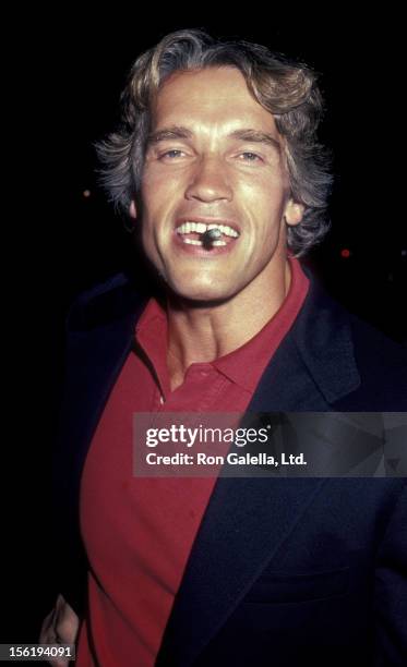Arnold Schwarzenegger 1983 Photos and Premium High Res Pictures - Getty