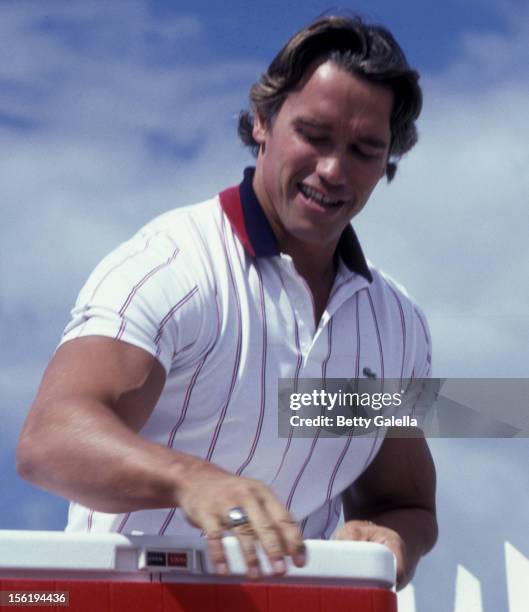 46 Arnold Schwarzenegger 1981 Photos & High Res Pictures - Getty Images