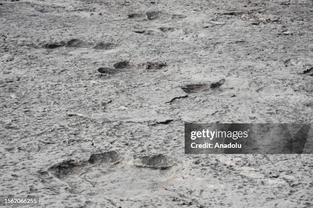 View of millions of years old dinosaur footprint in Koytendag district of Lebap Province, Turkmenistan on May 4, 2023. There are about 3 thousand...