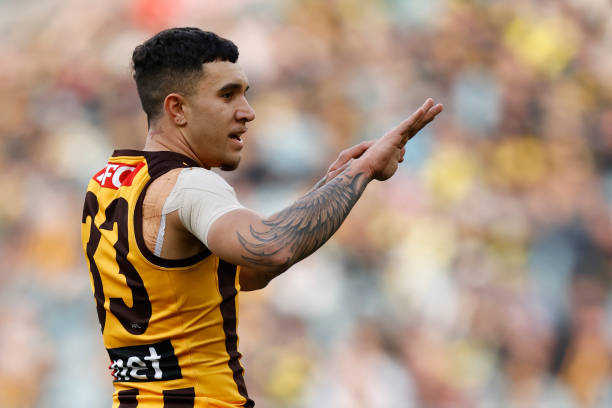 Tyler Brockman of the Hawks celebrates a goal during the round 19 AFL match between Richmond Tigers and Hawthorn Hawks at Melbourne Cricket Ground,...