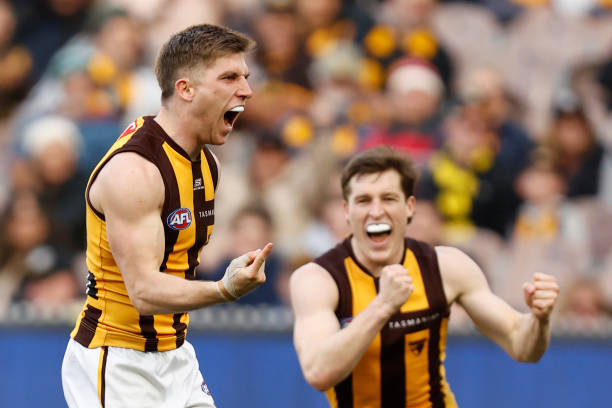 Dylan Moore of the Hawks celebrates a goal during the round 19 AFL match between Richmond Tigers and Hawthorn Hawks at Melbourne Cricket Ground, on...