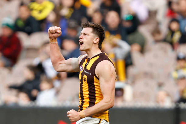 Mitch Lewis of the Hawks celebrates a goal during the round 19 AFL match between Richmond Tigers and Hawthorn Hawks at Melbourne Cricket Ground, on...