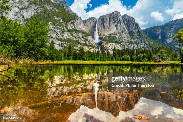 yosemite falls peak flow from snowmelt with reflection on still water - yosemite national park stock pictures, royalty-free photos & images