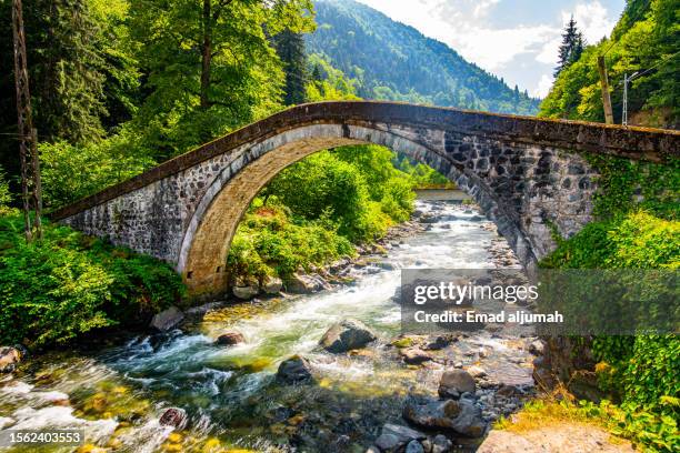 çad valley, rize, turkey - trabzon stock pictures, royalty-free photos & images