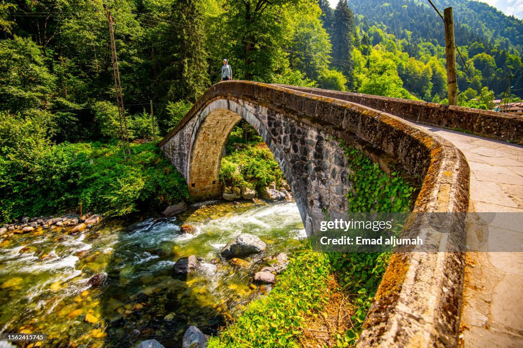 Çad valley, Rize, Turkey