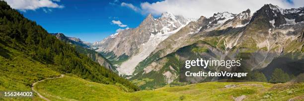 alpine meadows summer mountain trail italy - val ferret stock pictures, royalty-free photos & images