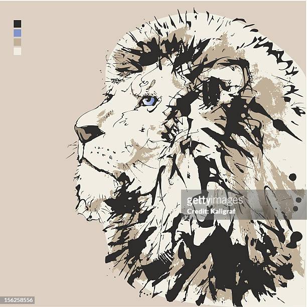 lion - head - majestic lion stock illustrations