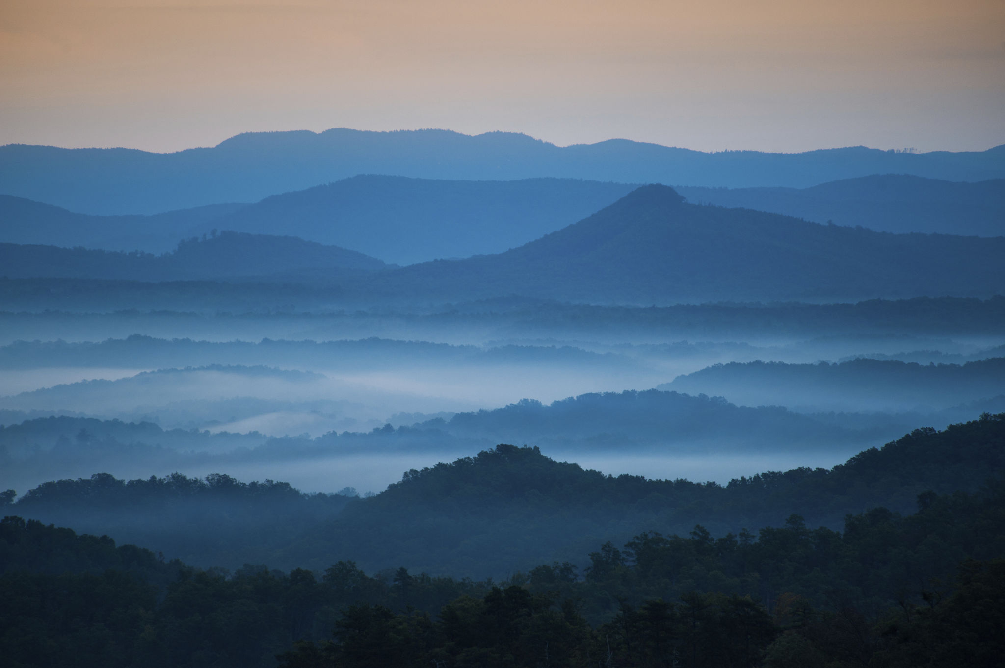 hendersonville landscape