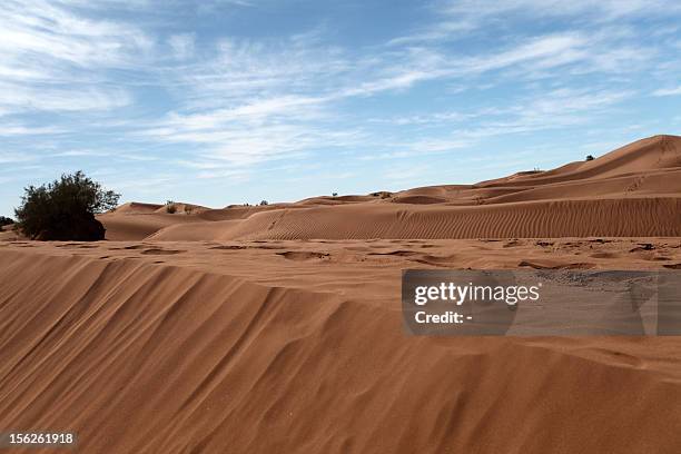 Picture taken on November 11, 2012 shows the sand dunes in M'hamid El Ghizlane near the Moroccan city of Zagora. The Taragalte music festival kicked...