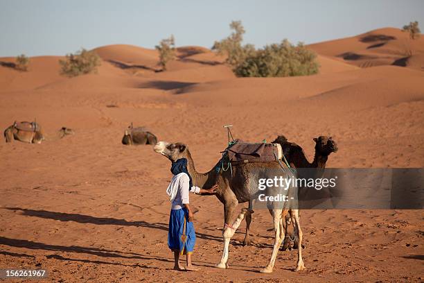 Saharian 54 Saharian Desert Stock Photos, High-Res Pictures, and Images - Getty ...