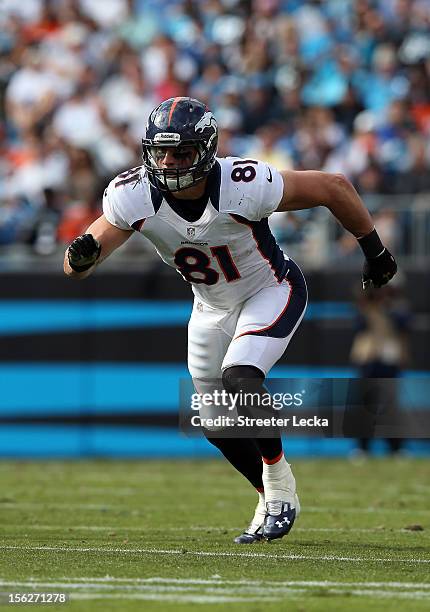 Joel Dreessen of the Denver Broncos during their game at Bank of America Stadium on November 11, 2012 in Charlotte, North Carolina.