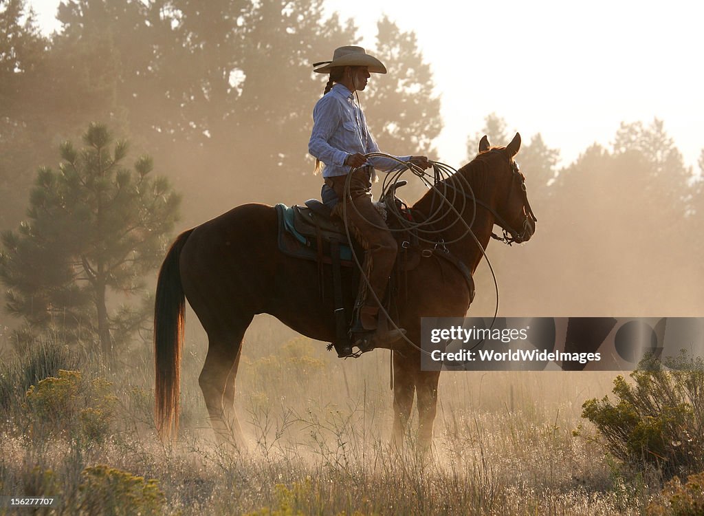 Cowgirl on horse at dusk