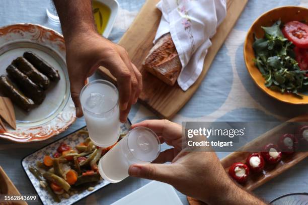 friends drinking raki or ouzo at a delicious table - griekse gerechten stockfoto's en -beelden