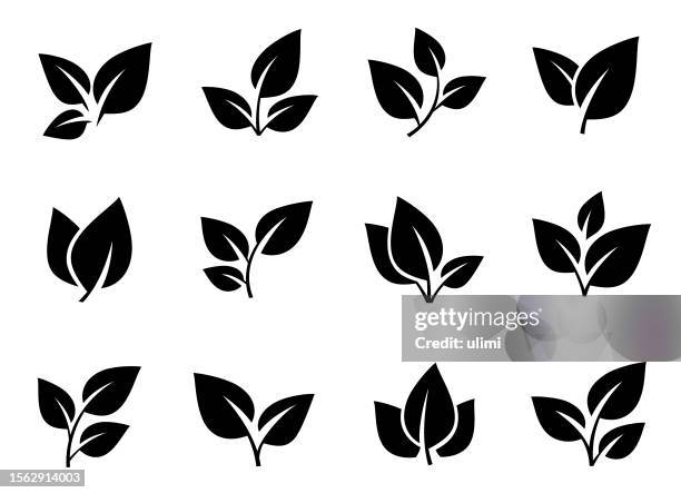 ilustrações de stock, clip art, desenhos animados e ícones de leaves icons set - grupo pequeno de objetos