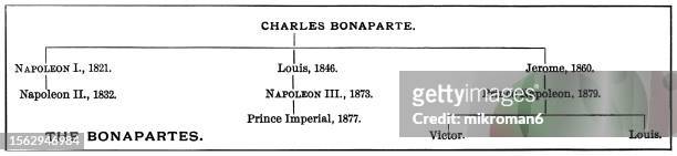 old engraved diagram of the charles-marie bonaparte (1746-1785) family tree - napoleon iii fotografías e imágenes de stock