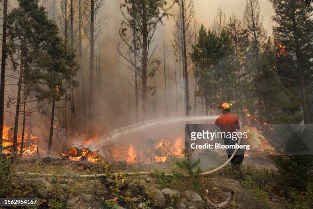 Member of the BC Wildfire Service Fraser Unit Crew uses a hose to cool hotspots during a planned ignition on the Ross Moore Lake wildfire in...
