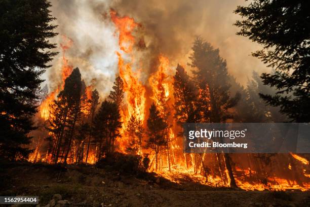 Wind change increased flames during a planned ignition on the Ross Moore Lake wildfire in Kamloops, British Columbia, Canada, on Friday, July 28,...