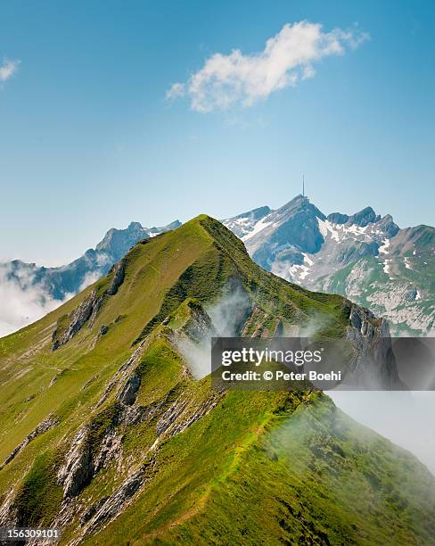 marwees in the mist - appenzell innerrhoden stock pictures, royalty-free photos & images