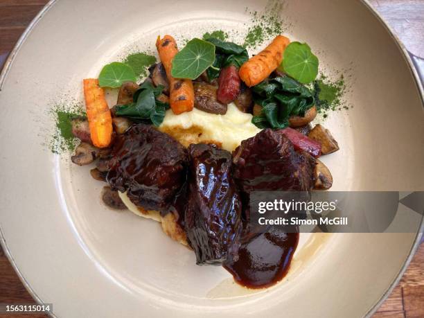 plate of boeuf bourguignon (french-style beef stew with mashed potatoes, braised vegetables and a bacon and red wine sauce) - boeuf bourguignon photos et images de collection