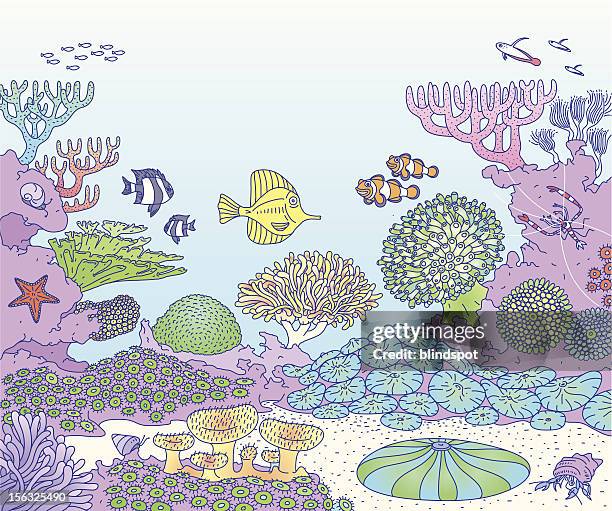 reef - - seabed stock-grafiken, -clipart, -cartoons und -symbole