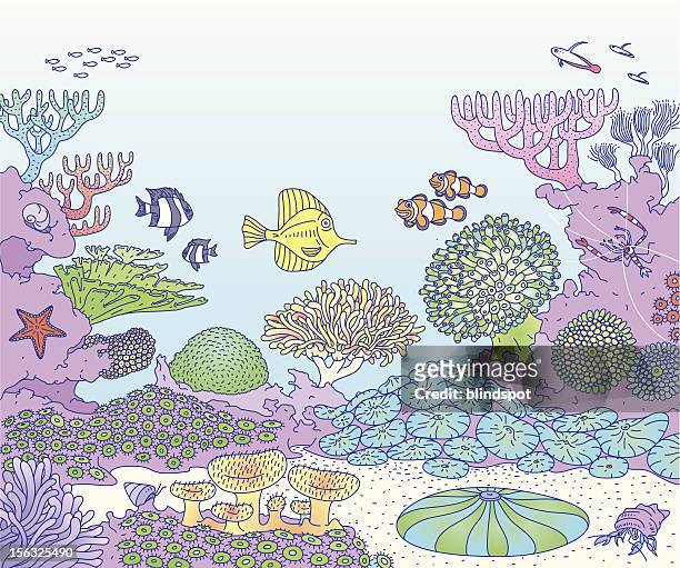 ilustrações de stock, clip art, desenhos animados e ícones de recife - coral colored