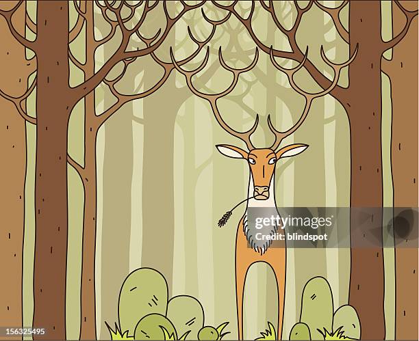 90 Ilustraciones de Venado Cola Blanca - Getty Images 90 Ilustraciones de Venado Cola Blanca - Getty Images