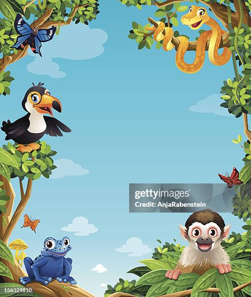 wild animals in amazon rainforest - vector cartoon background - poison dart frog stock illustrations