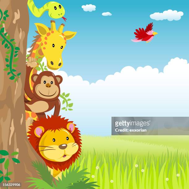ilustrações de stock, clip art, desenhos animados e ícones de selva animal ocultar behide a árvore na primavera - animal de safari