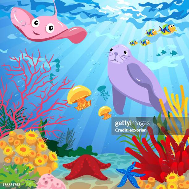 unterwasser-szene mit sea life - fischschwarm stock-grafiken, -clipart, -cartoons und -symbole