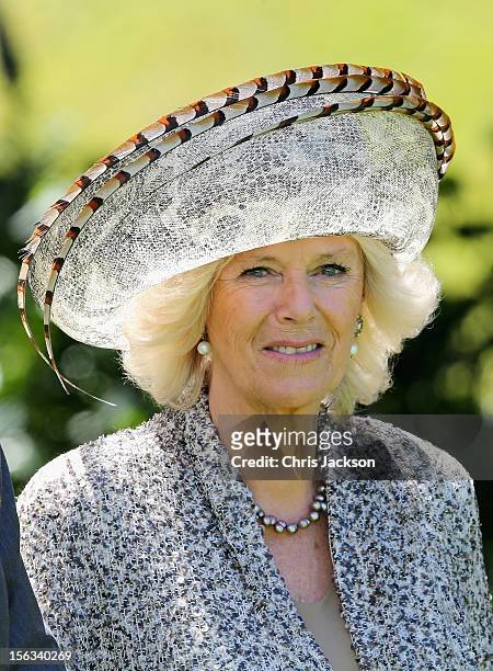 Camilla, Duchess of Cornwall smiles at Government House on November 14, 2012 in Wellington, New Zealand. The Royal couple are in New Zealand on the...